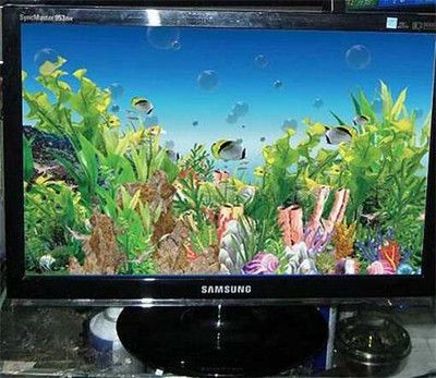 龍魚缸哪個牌子性價比高一點（龍魚缸品牌中性價比高的有