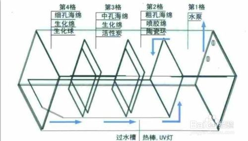 魚(yú)缸過(guò)濾棉怎么放過(guò)濾效果好視頻：如何在魚(yú)缸中正確放置過(guò)濾棉