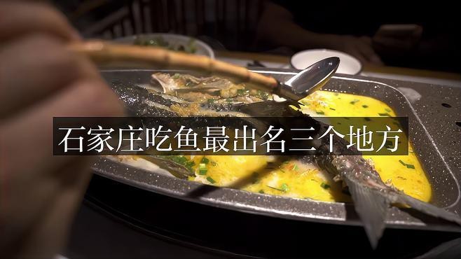 河北石家莊吃金龍魚的地方