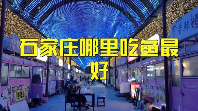 河北石家莊吃金龍魚的地方