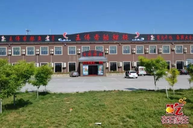 河北石家莊吃金龍魚的地方