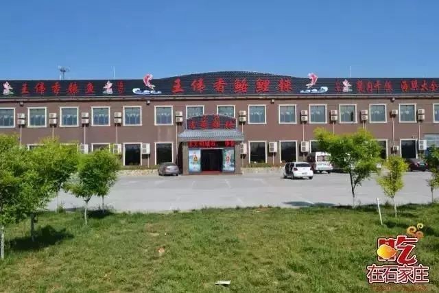 河北石家莊吃金龍魚的地方