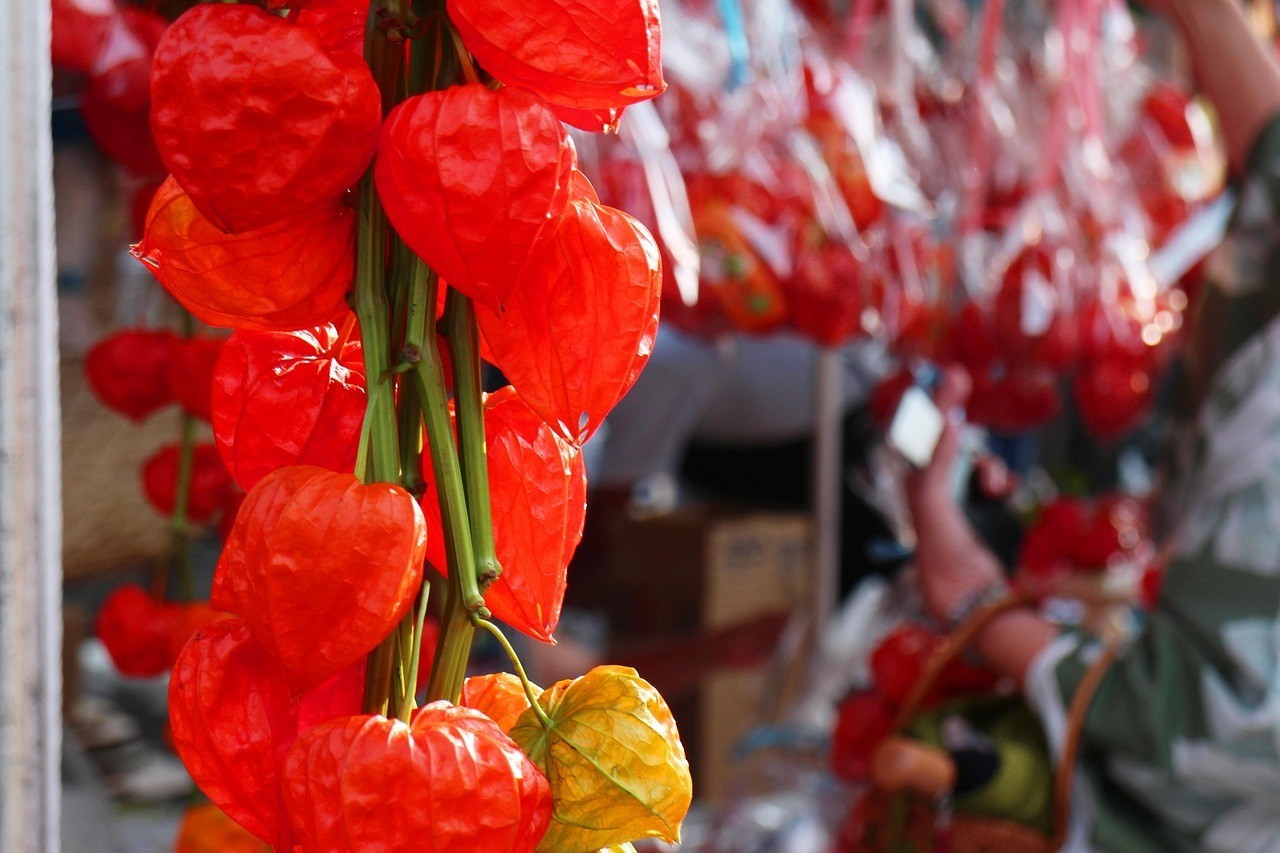 洛陽(yáng)市瀍河區(qū)那年花開(kāi)花店
