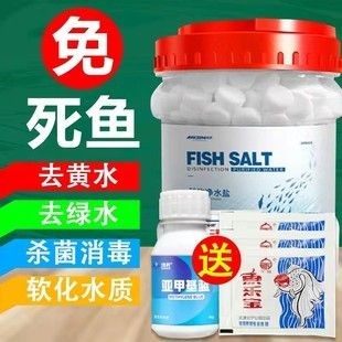 海鹽魚缸治療白點病需要注意什么?:海鹽魚缸治療白點病消毒的科學方法和注意事項和注意事項 魚缸百科 第3張 海鹽魚缸治療白點病需要注意什么?:海鹽魚缸治療白點病消毒的科學方法和注意事項和注意事項 海鹽魚缸治療白點病需要注意什么?:海鹽魚缸治療白點病消毒的科學方法和注意事項和注意事項 魚缸百科 第3張