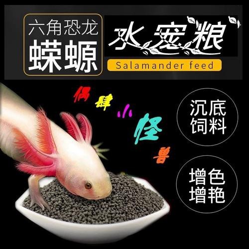 恐龍魚能吃多大的魚糧圖片高清