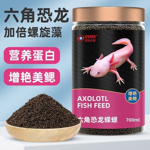 恐龍魚能吃多大的魚糧圖片高清