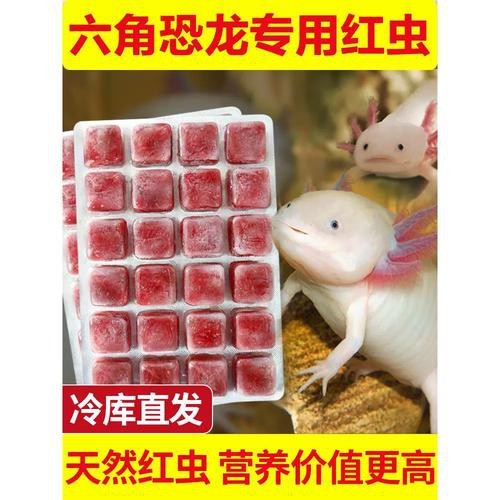 恐龍魚能吃多大的魚糧圖片高清