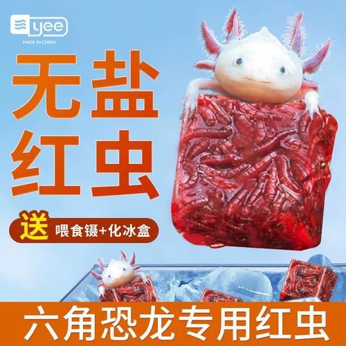 恐龍魚能吃多大的魚糧圖片高清