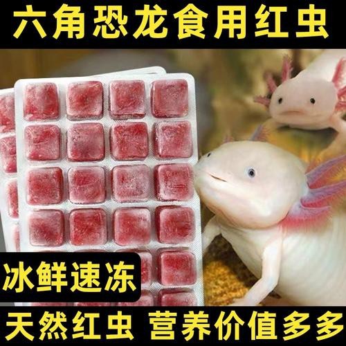 恐龍魚能吃多大的魚糧圖片高清
