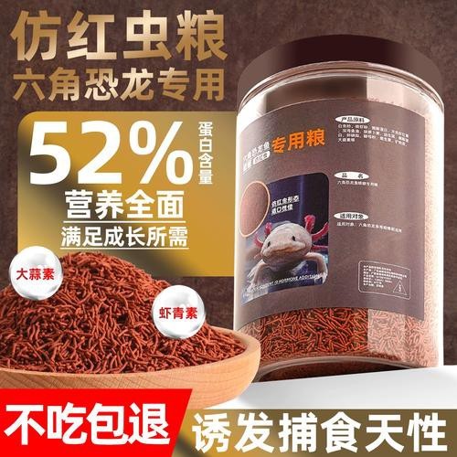 恐龍魚能吃多大的魚糧圖片高清