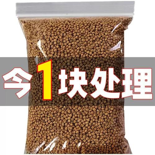 恐龍魚能吃多大的魚糧圖片高清
