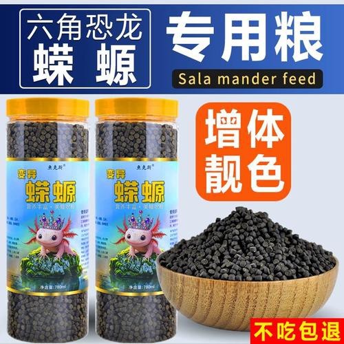 恐龍魚能吃多大的魚糧圖片高清