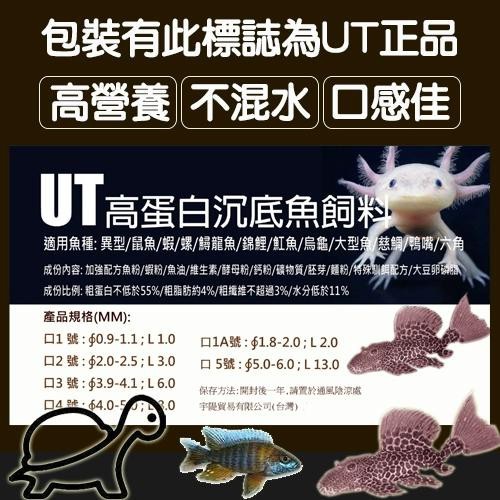 恐龍魚能吃多大的魚糧圖片高清