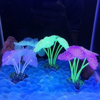 魚缸珊瑚造型：適合珊瑚造景的魚類推薦,魚缸珊瑚造型的清潔技巧