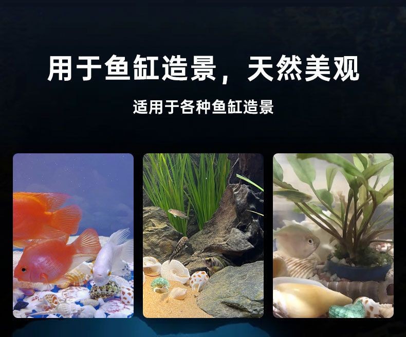 魚缸珊瑚造型：適合珊瑚造景的魚類推薦,魚缸珊瑚造型的清潔技巧