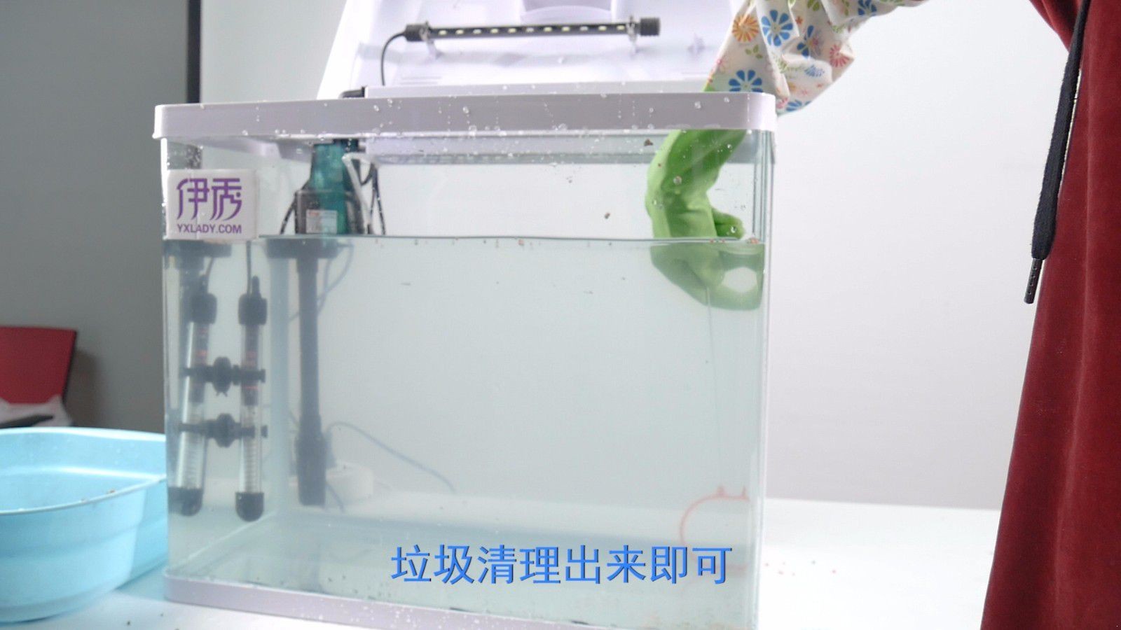 清理魚缸糞便的方法：清理底砂魚缸糞便的幾種方法