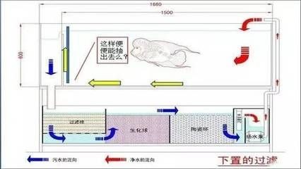 魚缸過濾棉的選擇與搭配：底濾魚缸在更換過濾棉時會對水質產生一定的影響嗎？