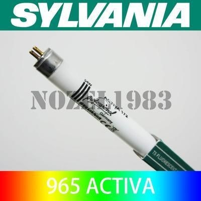 龍魚頂燈選擇：光管 vs 光盒（龍魚頂燈選光管還是光盒）