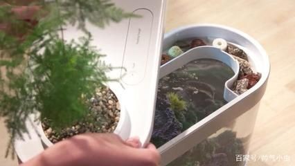 小米魚缸怎樣加裝過濾器：小米魚缸過濾器改造