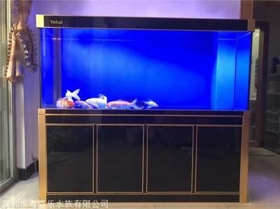 無(wú)錫鴻顏水族工程公司定制超白魚(yú)缸的藝術(shù)與工藝定制：定制超白魚(yú)缸的優(yōu)勢(shì)