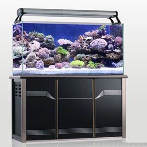 西安魚缸批發市場（西安魚缸批發市場排名）
