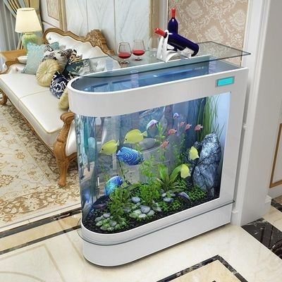 底濾魚缸進水口吸魚的原因（底濾魚缸過濾原理）