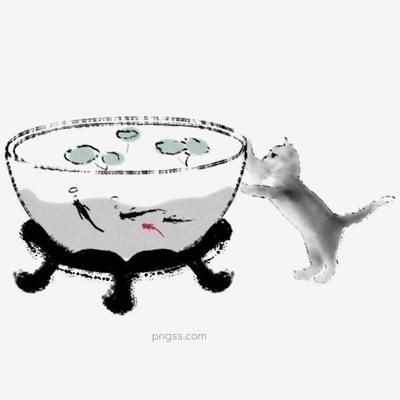 重慶買觀賞魚的地方和重慶觀賞魚市場哪個最大，重慶買觀賞魚市場、觀賞魚市場、觀賞魚市場哪個最大