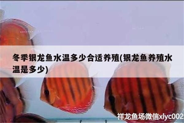 北京福常佑珠寶店