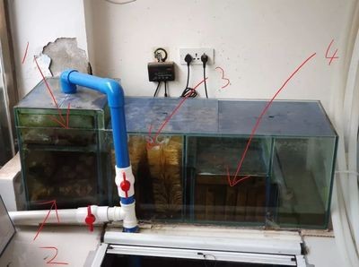 魚缸過濾器不啟動怎么回事：魚缸過濾器不啟動可能由多種因素引起魚缸過濾器不啟動