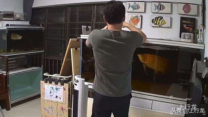 魚缸蓋怎么打開：魚缸蓋子的正確打開方式