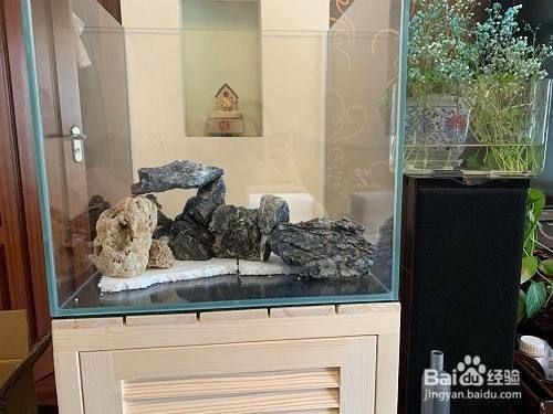 魚缸蓋怎么打開：魚缸蓋子的正確打開方式
