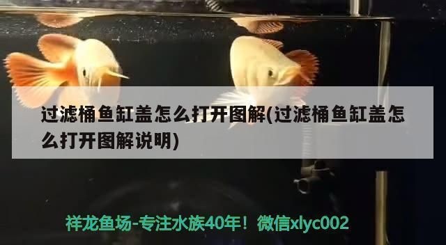 魚缸蓋怎么打開：魚缸蓋子的正確打開方式