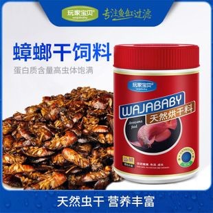 高端龍魚飼料十大品牌排名及價格：2024年高端龍魚飼料十大品牌排名及價格