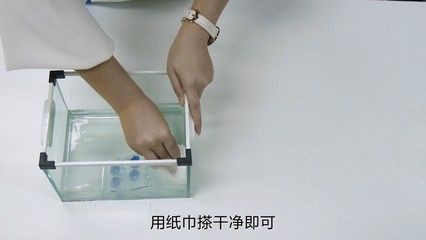 魚缸水白霧狀怎么辦（如何解決魚缸水白霧狀的問題）