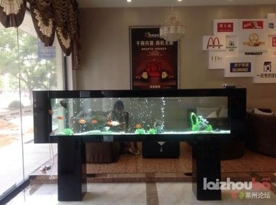 海納利爾魚缸設計美學探索水族箱設計背后的美學原理：水族箱設計美學探索水族箱設計美學探索水族箱設計背后的美學原理