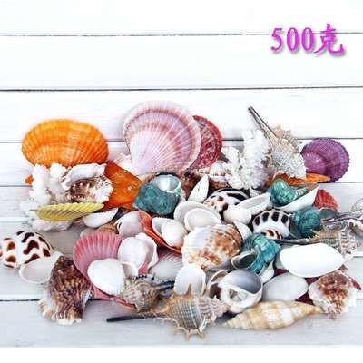 魚缸品牌十大排名榜海之（水族品牌十大排名榜海之）
