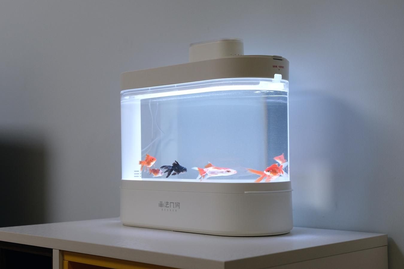 小魚缸配置都有什么東西：如何選擇適合的小魚缸