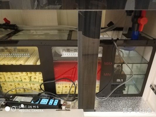 底濾魚缸里的雜質吸不干凈的問題解決方案：如何解決底濾魚缸雜質吸不干凈的問題