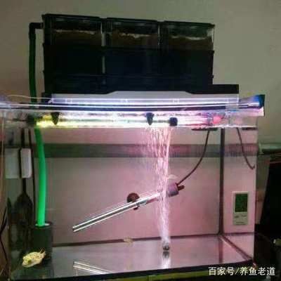 魚缸里的珊瑚石起什么作用：珊瑚石在海水魚缸中的作用