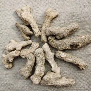 魚缸里的珊瑚石起什么作用：珊瑚石在海水魚缸中的作用