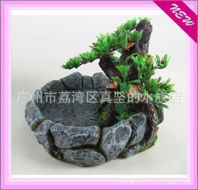 水族箱光照周期設置技巧：水族箱光照周期模擬自然