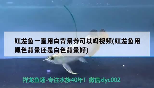 金川開發區草語花香花卉經銷部（金川開發區草語花香花卉經銷部電話）