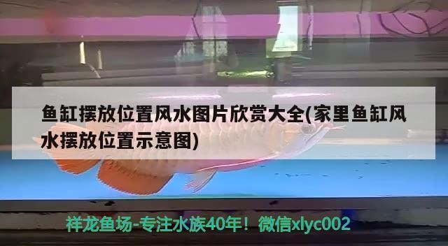 曲陽縣景明水族館（曲陽縣景明水族館電話）
