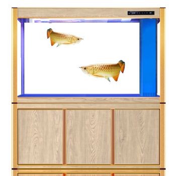 歐寶魚缸廠家介紹電話多少：歐寶魚缸廠家介紹