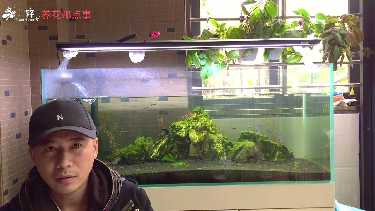 魚(yú)缸永遠(yuǎn)不用換水,看看怎么回事（魚(yú)缸永遠(yuǎn)不用換水,看看怎么回事,免換水）