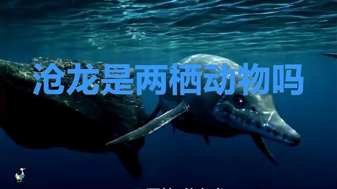 龍魚飲食禁忌，龍魚不宜喂食含有咖啡因的食物，今天吃什么,