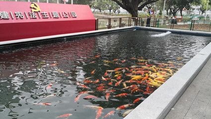 公園的觀賞魚(yú)可以釣走嗎（不讓釣魚(yú)屬于誰(shuí)管？）