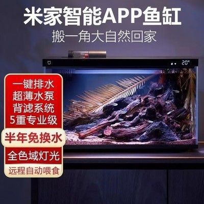 小米智能魚缸評測：小米智能魚缸怎么樣