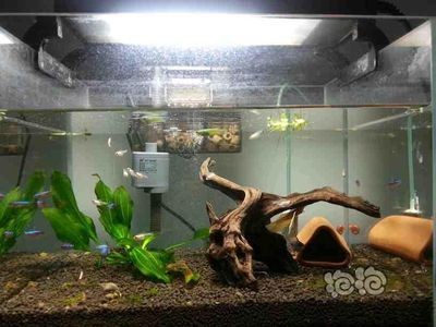 魚缸過濾器里面的水怎么放出來？（魚缸過濾器里面的水怎么放出來）
