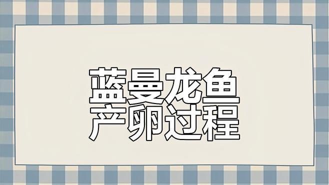 藍曼龍發(fā)情期如何護理？